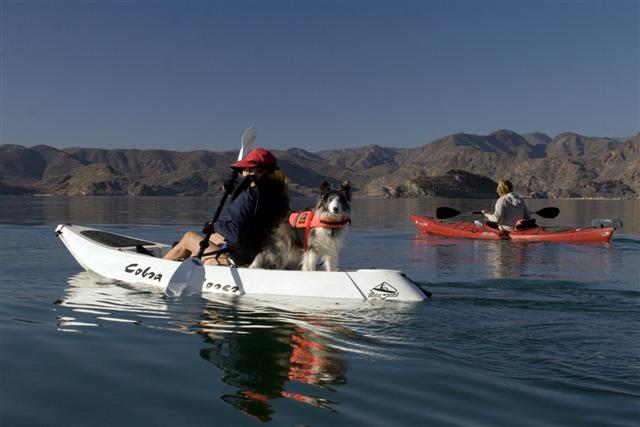 Paddling%20Baja.JPG