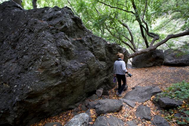 Big%20Black%20Volcanic%20Boulders%20in%20the%20Salmon%20Creek%20Area%20-%20Photo%20by%20Pat%20Bonish.JPG