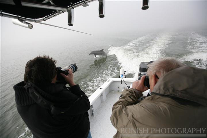 Photographing_Dolphins_On_A_Birds_Over_Water_Tour.JPG